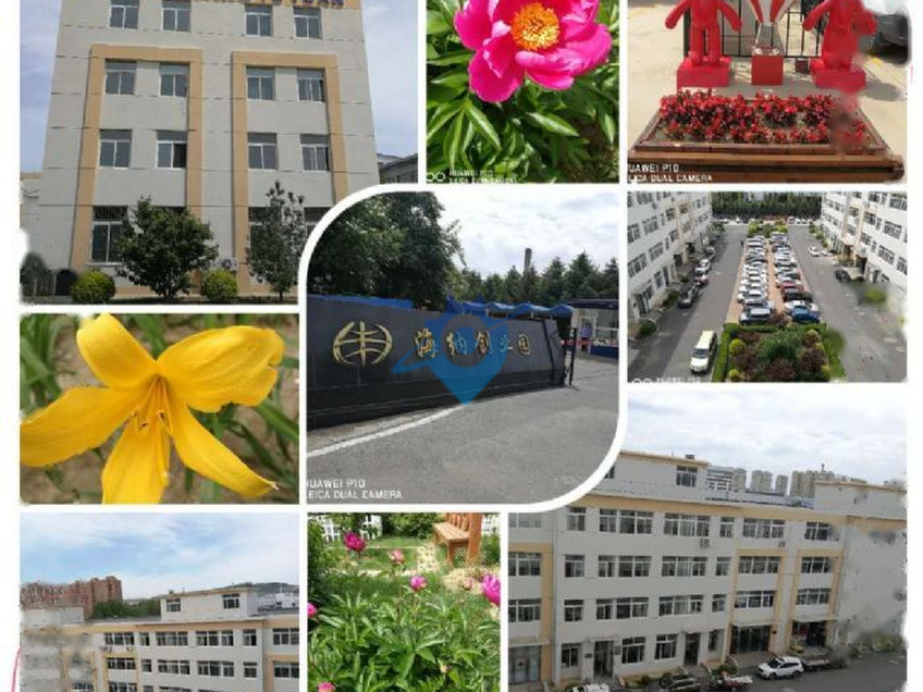 大连开发区双D港厂小户型厂房对外招租